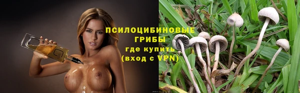 ГАЛЛЮЦИНОГЕННЫЕ ГРИБЫ Богданович