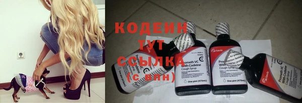 ГАЛЛЮЦИНОГЕННЫЕ ГРИБЫ Богданович