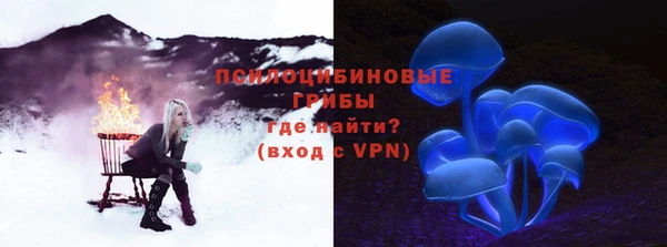 jwh Богородск