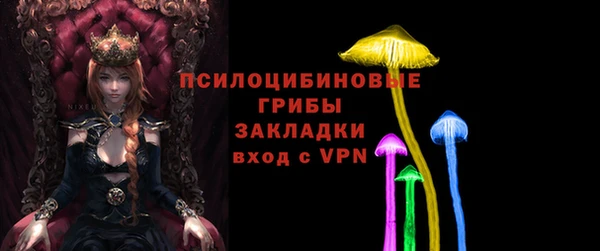ГАЛЛЮЦИНОГЕННЫЕ ГРИБЫ Богданович