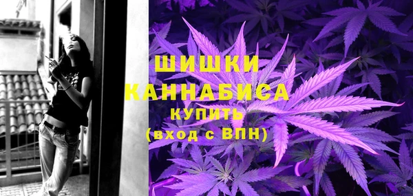 гашик Белокуриха