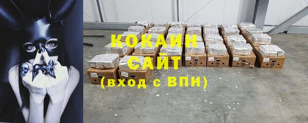 ГАЛЛЮЦИНОГЕННЫЕ ГРИБЫ Богданович