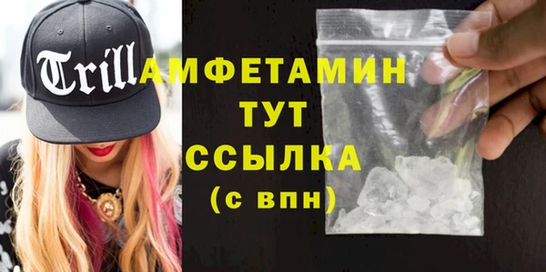 ГАЛЛЮЦИНОГЕННЫЕ ГРИБЫ Богданович