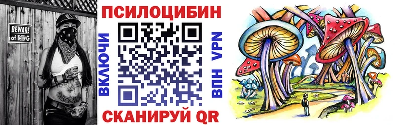 хочу   Мостовской  ссылка на мегу как зайти  Галлюциногенные грибы ЛСД 
